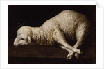 Agnus Dei, c.1635-40 by Francisco de Zurbaran