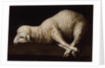 Agnus Dei, c.1635-40 by Francisco de Zurbaran