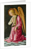 Kneeling Angel, c.1480 by Master of Johnson Nativity or Tabernacle