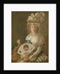 Portrait of a Lady with a Parrot, c.1785-90 by Luis Paret y Alcazar