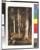 Forest Scene, 1901-15 by Ralph Albert Blakelock