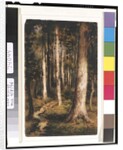 Forest Scene, 1901-15 by Ralph Albert Blakelock