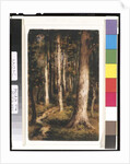 Forest Scene, 1901-15 by Ralph Albert Blakelock