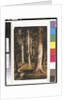 Forest Scene, 1901-15 by Ralph Albert Blakelock