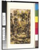 Forest Scene, 1901-15 by Ralph Albert Blakelock