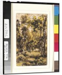 Forest Scene, 1901-15 by Ralph Albert Blakelock