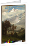 View of the Wetterhorn from the Valley of Grindelwald by Albert Bierstadt