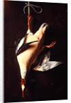 Merganser, 1883 by William Michael Harnett