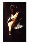 Merganser, 1883 by William Michael Harnett