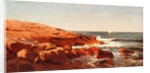 Rocky Shore, 1862 by William Stanley Haseltine