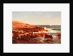 Rocky Shore, 1862 by William Stanley Haseltine