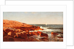 Rocky Shore, 1862 by William Stanley Haseltine