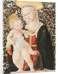 Madonna of the Roses, c.1485-90 by Pseudo Pier Francesco Fiorentino