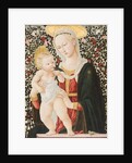 Madonna of the Roses, c.1485-90 by Pseudo Pier Francesco Fiorentino