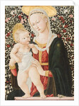 Madonna of the Roses, c.1485-90 by Pseudo Pier Francesco Fiorentino