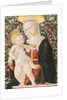 Madonna of the Roses, c.1485-90 by Pseudo Pier Francesco Fiorentino