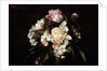 Peonies, White Carnations and Roses, 1874 by Ignace Henri Jean Fantin-Latour