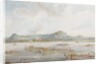 The Nawab of Murshidabad's boats on the Ganges, 1814 by Ram Sita