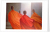 Four Monks on Temple Steps by Lincoln Seligman