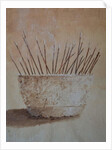 Incense Sticks by Lincoln Seligman