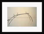 Fishing Nets Cochin 2 by Lincoln Seligman