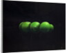 Five Green Apples by Lincoln Seligman