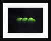 Five Green Apples by Lincoln Seligman