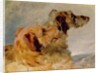 Two Deerhounds, 1851 by John Frederick Herring Snr