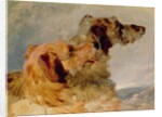 Two Deerhounds, 1851 by John Frederick Herring Snr