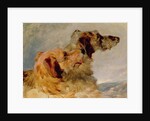Two Deerhounds, 1851 by John Frederick Herring Snr