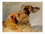 Two Deerhounds, 1851 by John Frederick Herring Snr