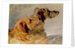 Two Deerhounds, 1851 by John Frederick Herring Snr