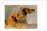 Two Deerhounds, 1851 by John Frederick Herring Snr