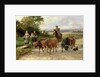 The Handsome Drover, 1904 by Heywood Hardy