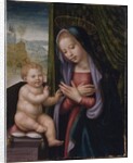 Madonna and Child by Giuliano Bugiardini
