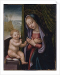Madonna and Child by Giuliano Bugiardini