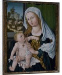 Madonna and Child by Albrecht Durer or Duerer