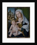Madonna and Child by Albrecht Durer or Duerer