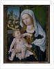 Madonna and Child by Albrecht Durer or Duerer