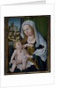 Madonna and Child by Albrecht Durer or Duerer