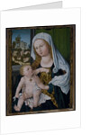 Madonna and Child by Albrecht Durer or Duerer