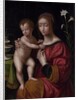 Madonna and Child by Bernardino Luini