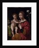 Madonna and Child by Bernardino Luini