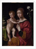 Madonna and Child by Bernardino Luini