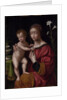Madonna and Child by Bernardino Luini