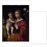 Madonna and Child by Bernardino Luini