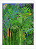 Rain Forest, Malaysia, 1990 by Laila Shawa