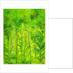 Rain Forest, Malaysia, 1990 by Laila Shawa