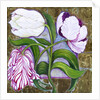 Tulips, 2004 by Laila Shawa
