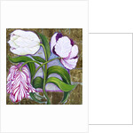 Tulips, 2004 by Laila Shawa